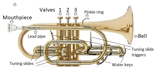 Image of cornet, naming the parts